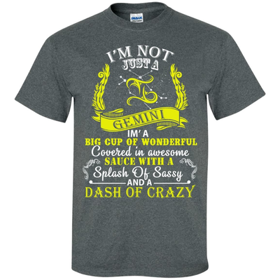 I AM NOT JUST A GEMINI T-Shirt & Hoodie | Teecentury.com