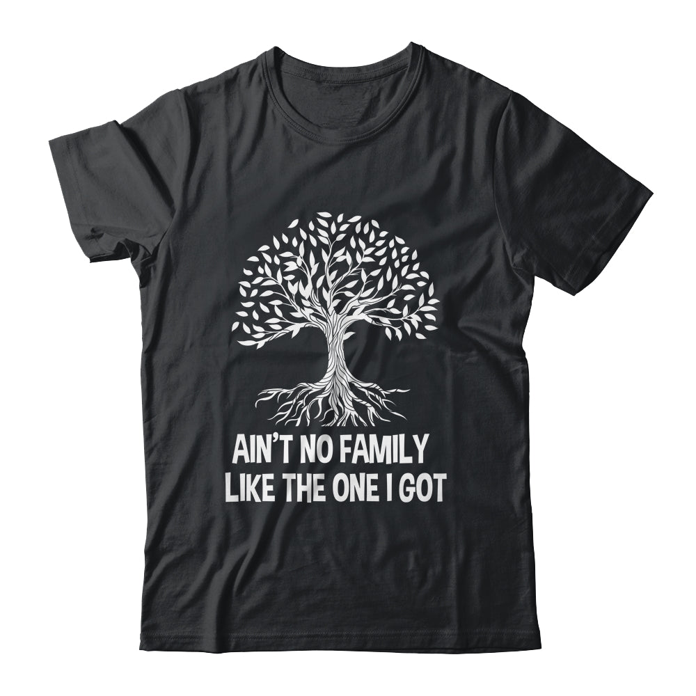 Ain't No Family Like The One I Got Family Reunion Funny Shirt & Hoodie | teecentury