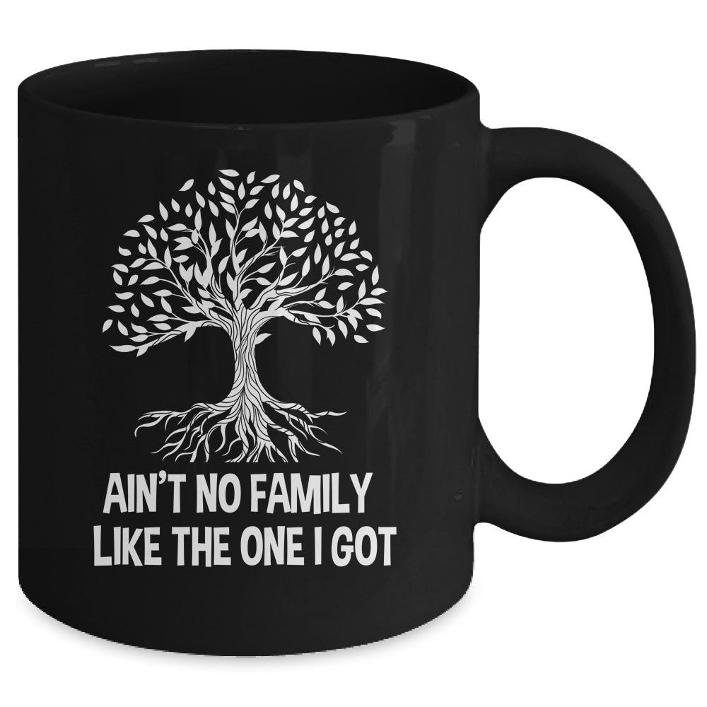 Ain't No Family Like The One I Got Family Reunion Funny Mug | teecentury