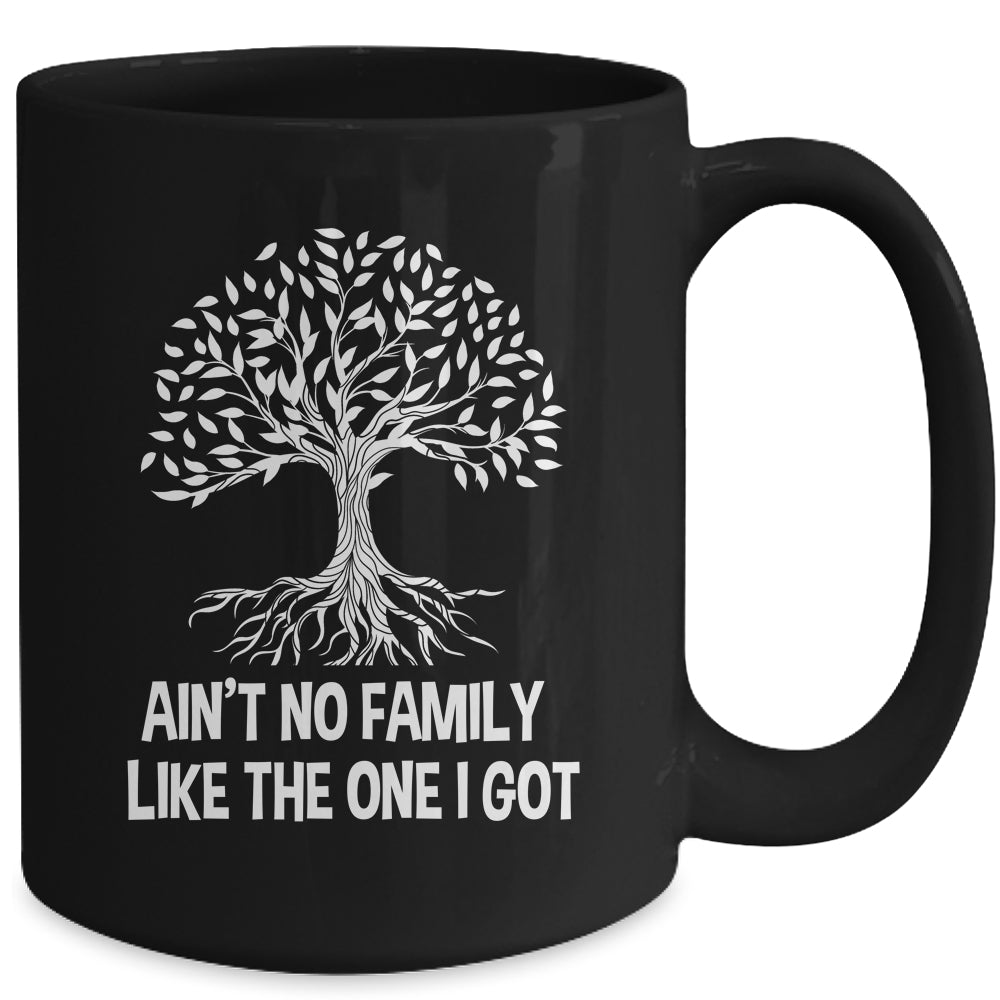Ain't No Family Like The One I Got Family Reunion Funny Mug | teecentury