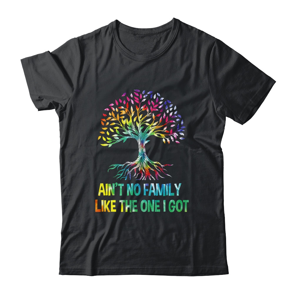 Ain't No Family Like The One I Got Tie Dye Funny Family Shirt & Hoodie | teecentury