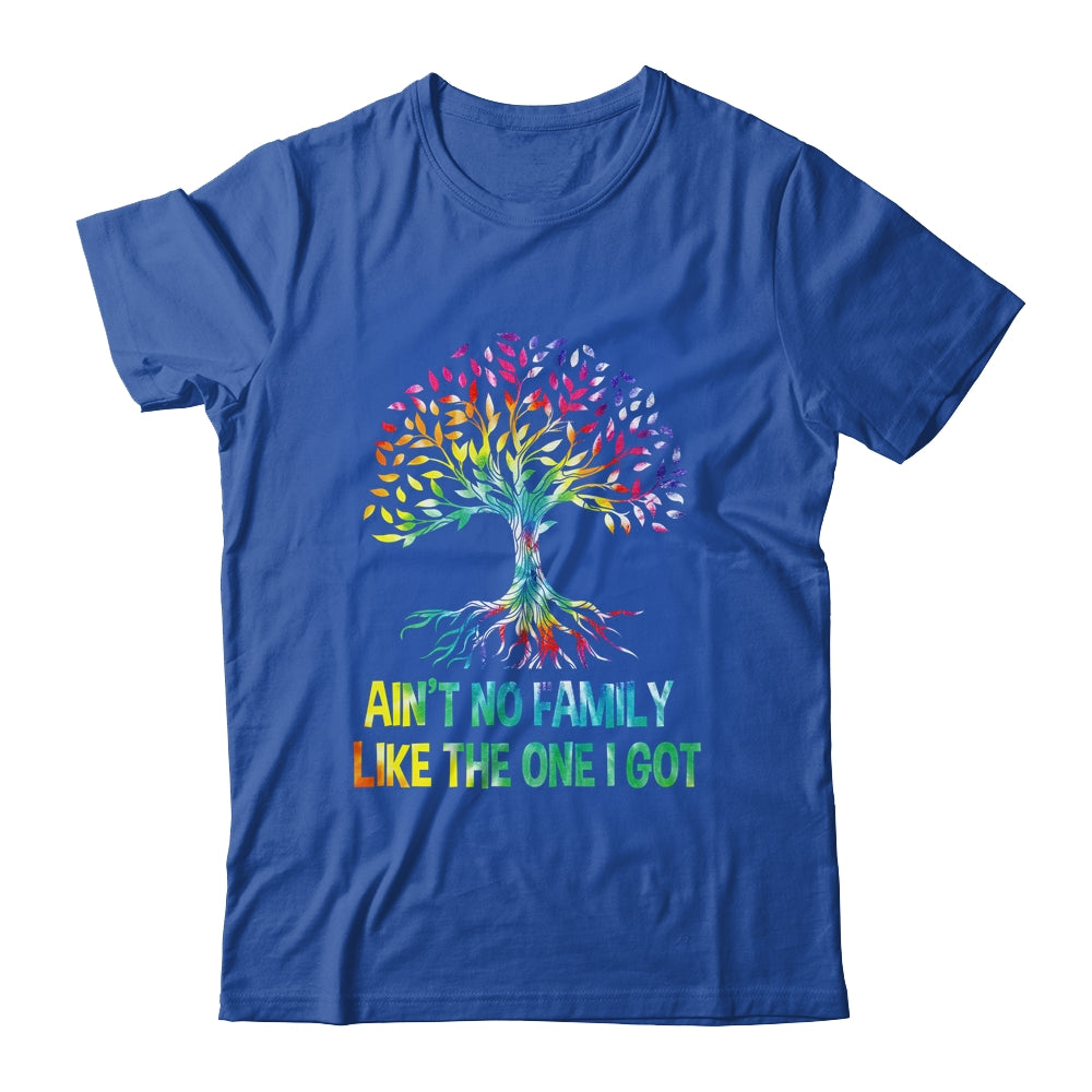 Ain't No Family Like The One I Got Tie Dye Funny Family Shirt & Hoodie | teecentury