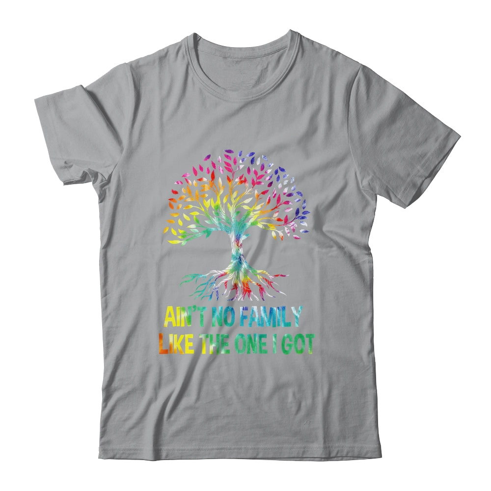 Ain't No Family Like The One I Got Tie Dye Funny Family Shirt & Hoodie | teecentury