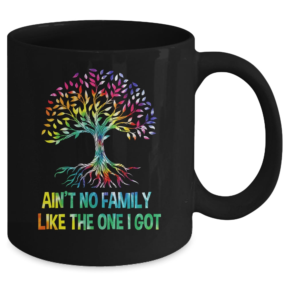 Ain't No Family Like The One I Got Tie Dye Funny Family Mug | teecentury
