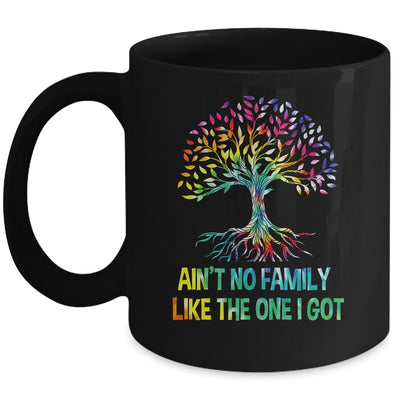 Ain't No Family Like The One I Got Tie Dye Funny Family Mug | teecentury