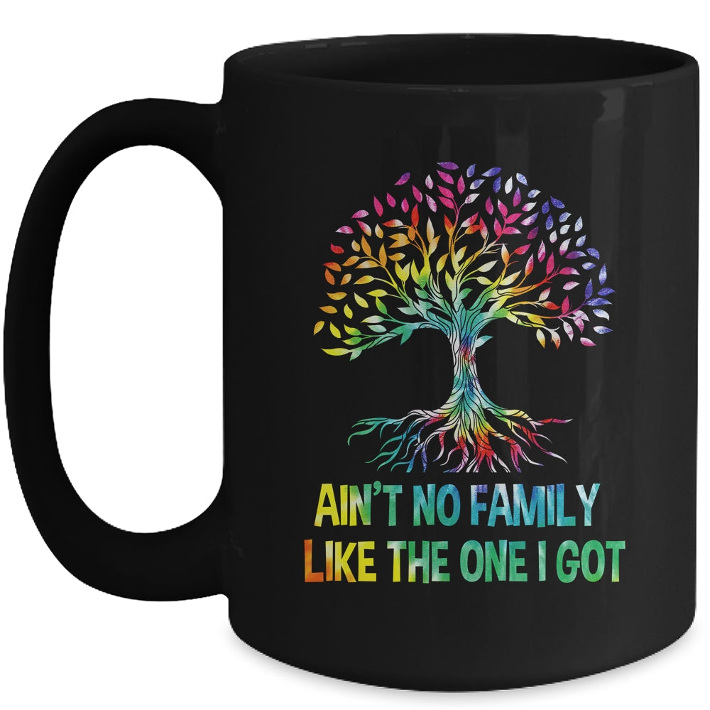 Ain't No Family Like The One I Got Tie Dye Funny Family Mug | teecentury