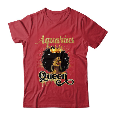 Aquarius Queen Birthday Afro Girls Black Zodiac Birthday Shirt & Tank Top | teecentury