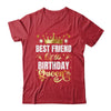 Best Friend Of The Birthday Queen Funny Birthday Party Shirt & Hoodie | teecentury