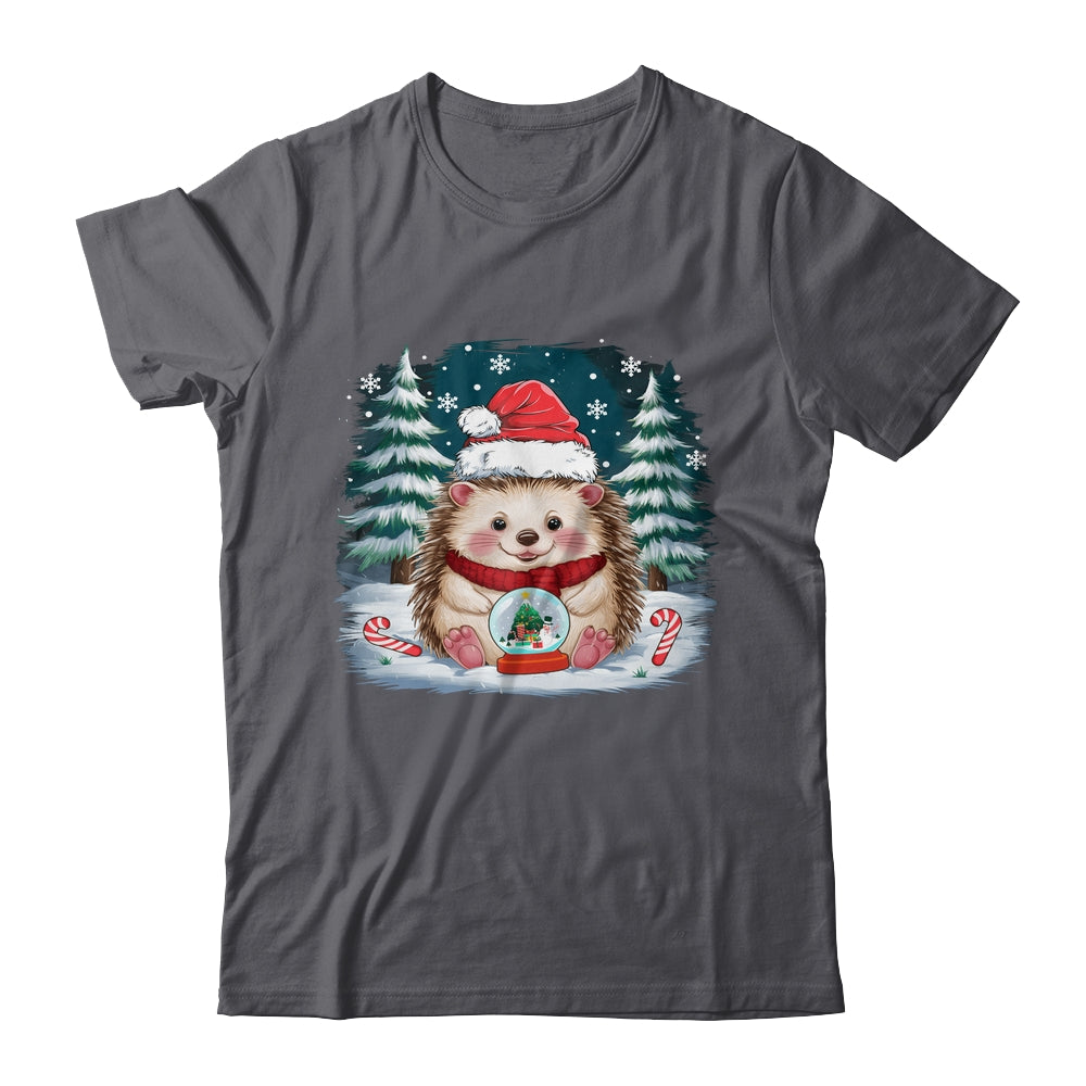 Cute Hedgehog Christmas Lights Santa Hat Xmas Men Women Kids Shirt & Sweatshirt | teecentury