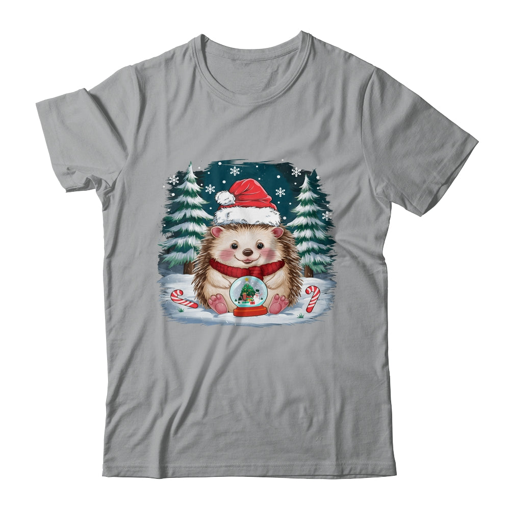 Cute Hedgehog Christmas Lights Santa Hat Xmas Men Women Kids Shirt & Sweatshirt | teecentury