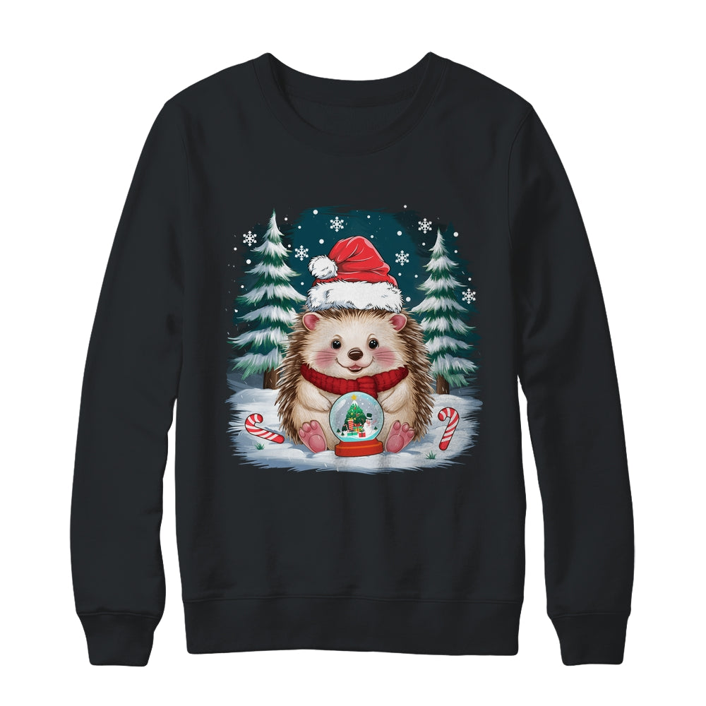 Cute Hedgehog Christmas Lights Santa Hat Xmas Men Women Kids Shirt & Sweatshirt | teecentury