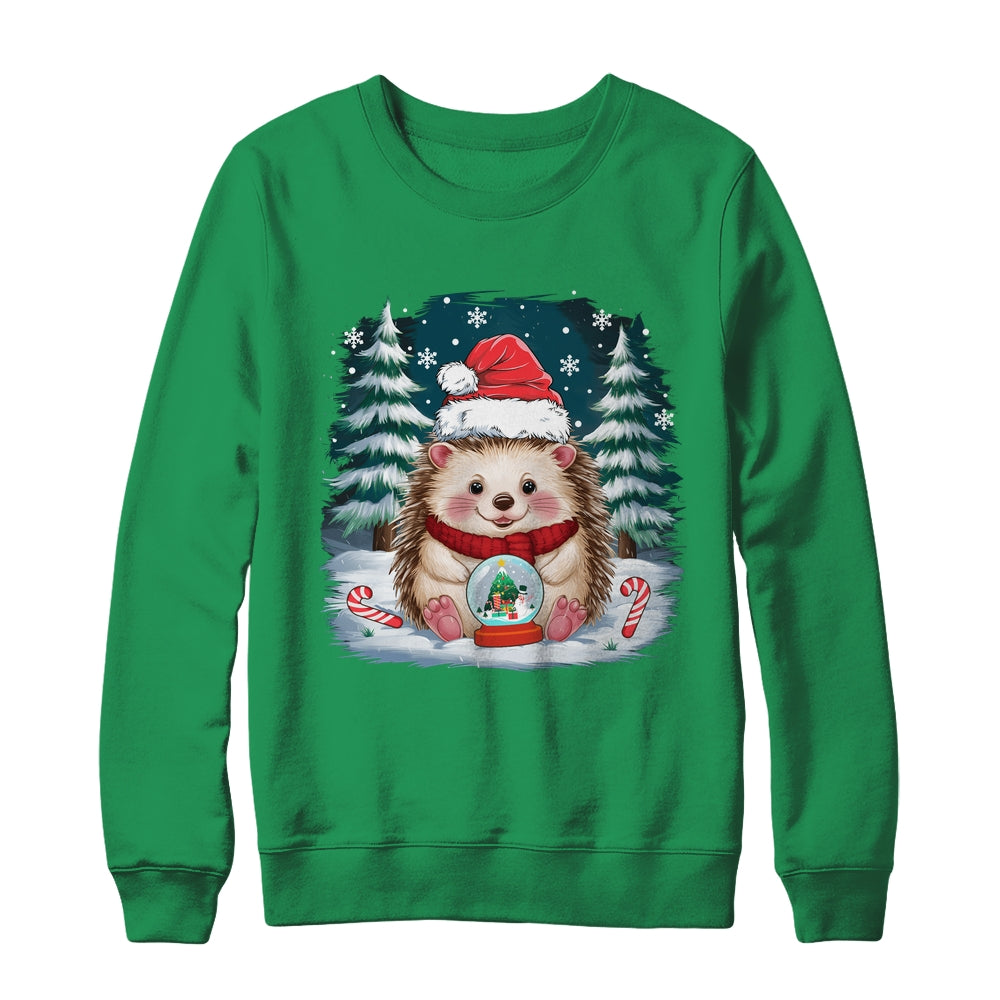 Cute Hedgehog Christmas Lights Santa Hat Xmas Men Women Kids Shirt & Sweatshirt | teecentury