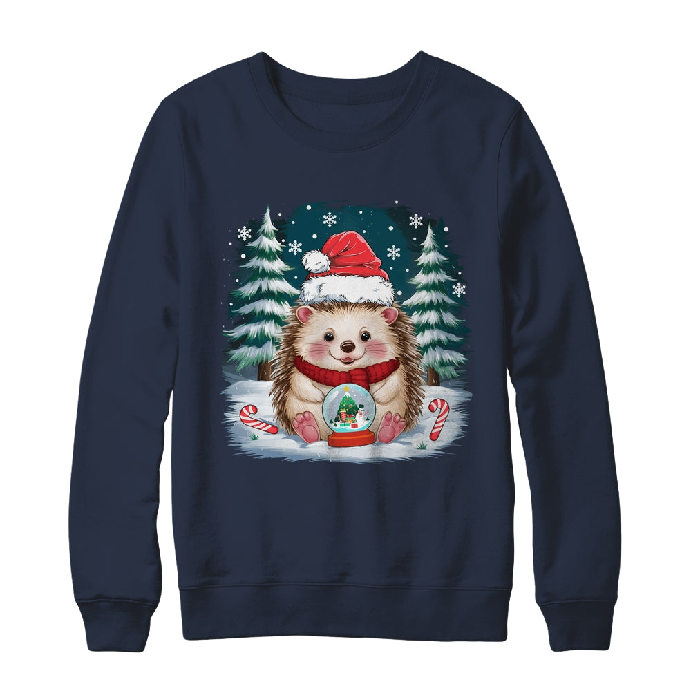Cute Hedgehog Christmas Lights Santa Hat Xmas Men Women Kids Shirt & Sweatshirt | teecentury