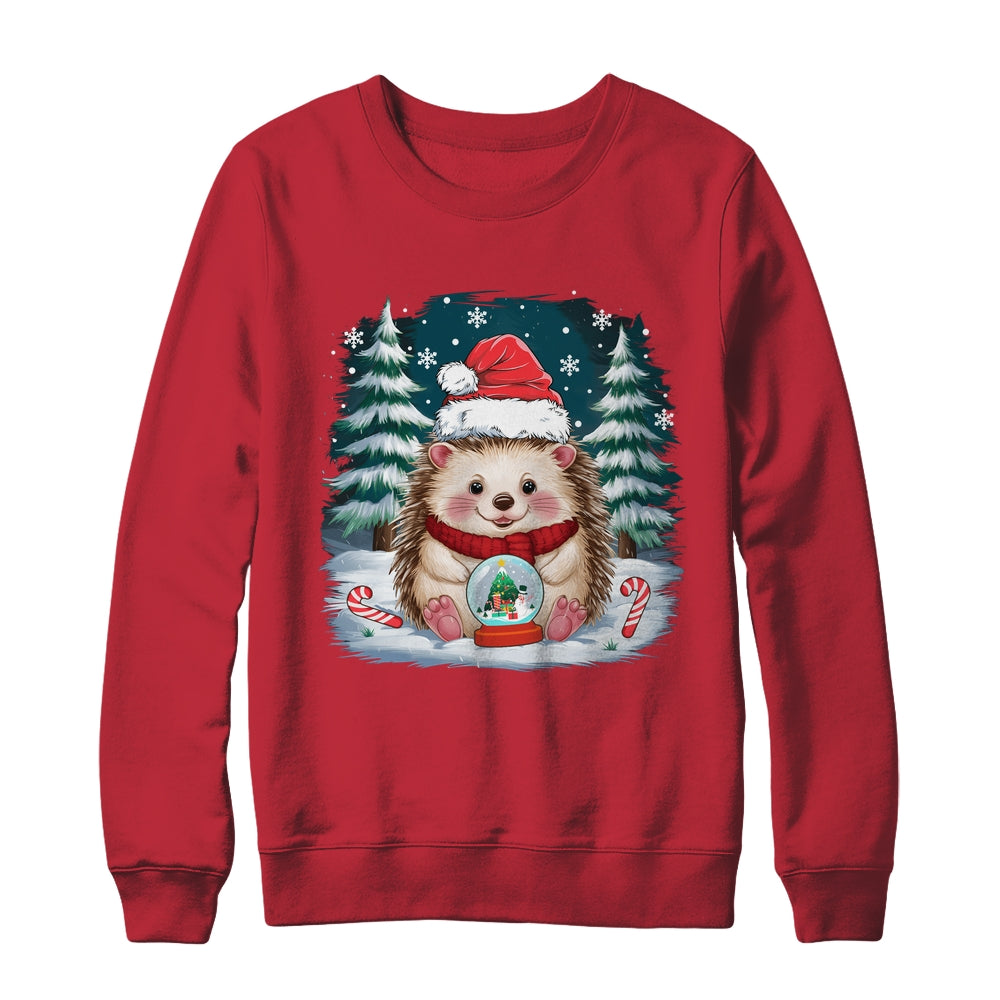 Cute Hedgehog Christmas Lights Santa Hat Xmas Men Women Kids Shirt & Sweatshirt | teecentury