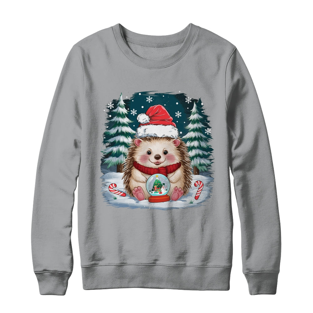 Cute Hedgehog Christmas Lights Santa Hat Xmas Men Women Kids Shirt & Sweatshirt | teecentury