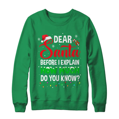 Dear Santa I Can Explain Funny Christmas Kids Adults Shirt & Sweatshirt | teecentury