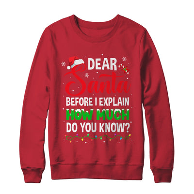 Dear Santa I Can Explain Funny Christmas Kids Adults Shirt & Sweatshirt | teecentury