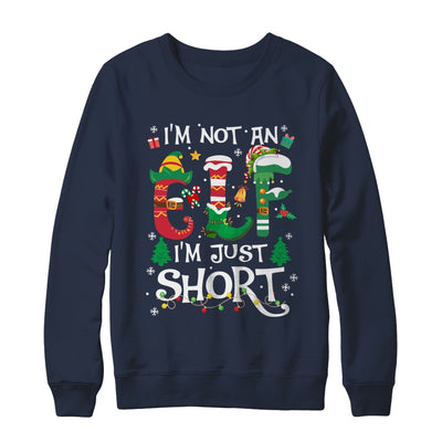 Funny Christmas Family Matching I'm Not An Elf I'm Just Short Shirt & Sweatshirt | teecentury