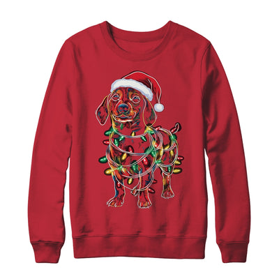 Funny Santa Dachshund Retriever Christmas Lights Dog Lover Shirt & Sweatshirt | teecentury