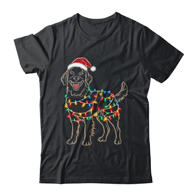 Funny Santa Golden Retriever Retriever Christmas Lights Dog Lover Shirt & Sweatshirt | teecentury