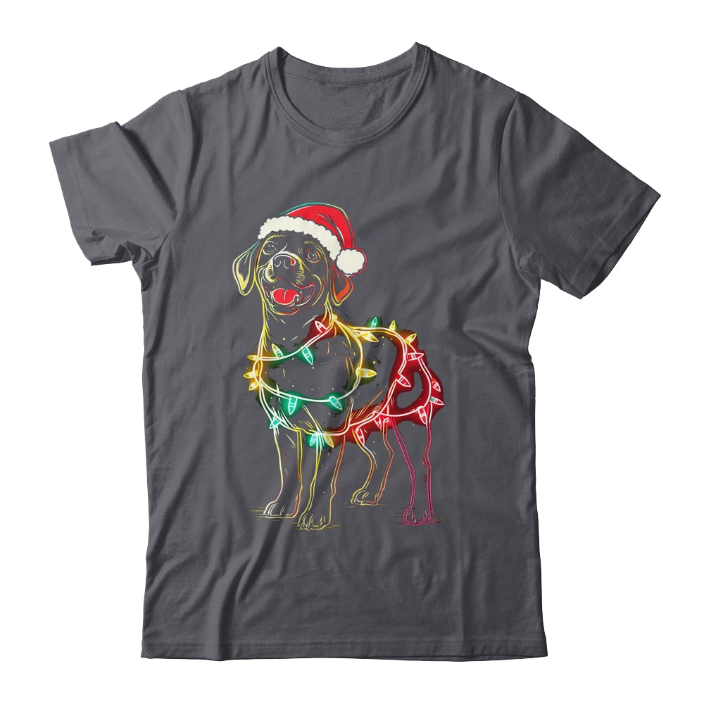 Funny Santa Labrador Retriever Christmas Lights Dog Lover Shirt & Sweatshirt | teecentury