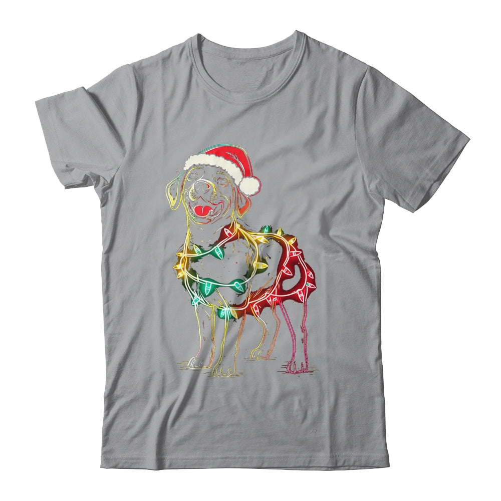 Funny Santa Labrador Retriever Christmas Lights Dog Lover Shirt & Sweatshirt | teecentury