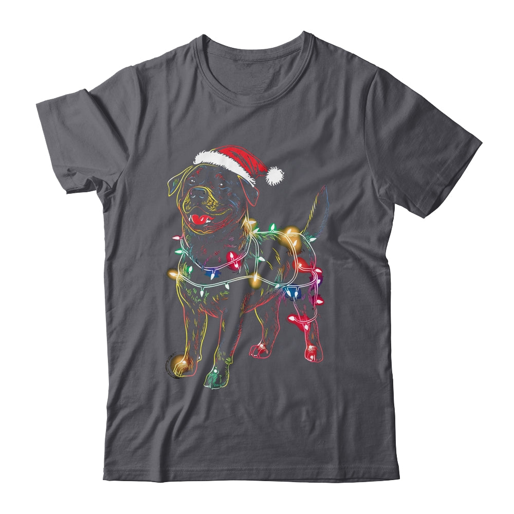 Funny Santa Rottweiler Retriever Christmas Lights Dog Lover Shirt & Sweatshirt | teecentury
