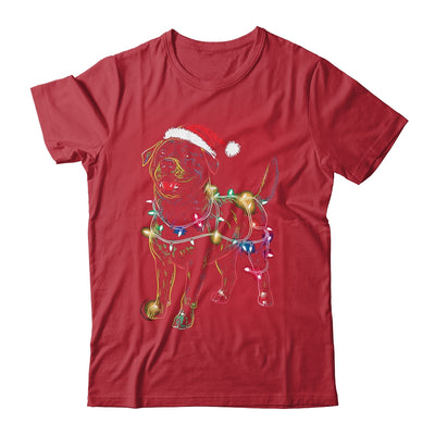 Funny Santa Rottweiler Retriever Christmas Lights Dog Lover Shirt & Sweatshirt | teecentury