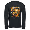Growing A Little Pumpkin Thanksgiving Pregnancy Announcement Shirt & Hoodie | teecentury