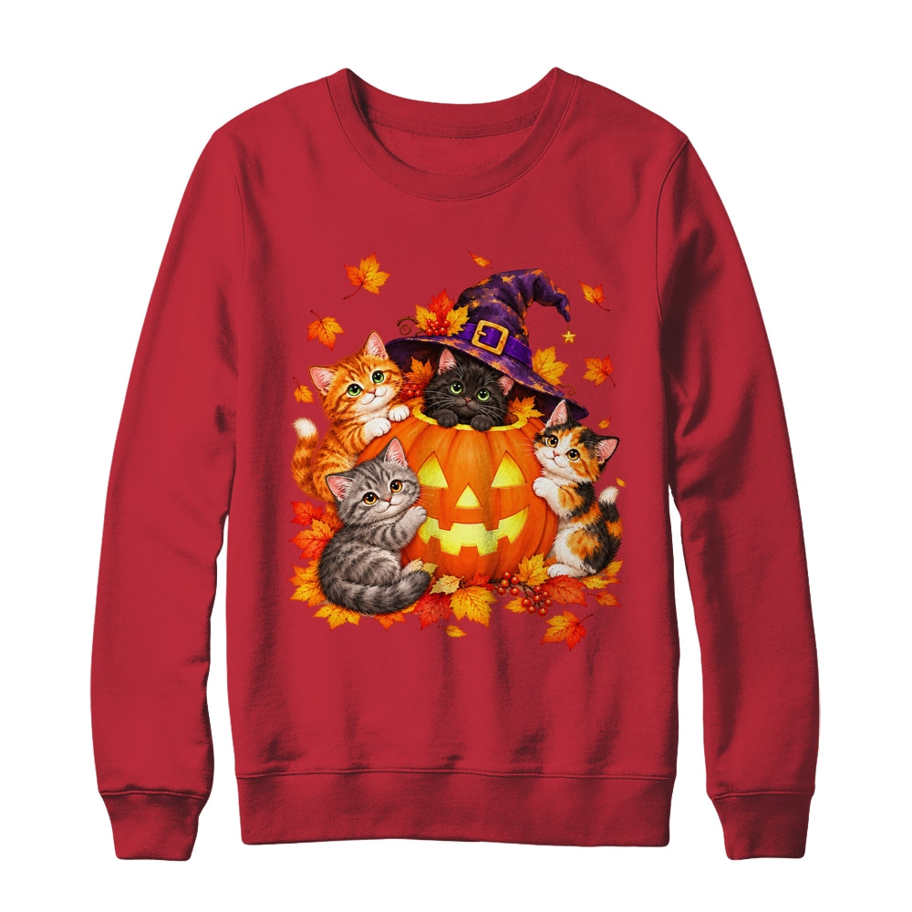 Halloween Pumpkin Cats Witch Hat Cute Kittens Graphic Shirt & Sweatshirt | teecentury