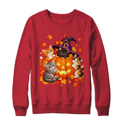 Halloween Pumpkin Cats Witch Hat Cute Kittens Graphic Shirt & Sweatshirt | teecentury