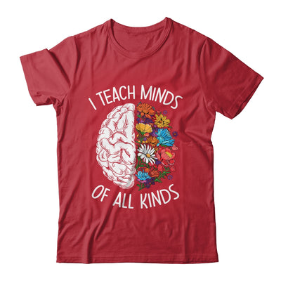 I Teach Minds Of All Kinds Special Education Teacher Shirt & Hoodie | teecentury