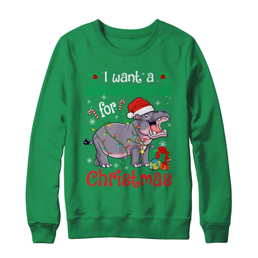 I Want A Hippopotamus For Christmas Xmas Hippo Kid Women Shirt Sweatshirt Teecentury
