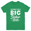 I'm Going To Be A Big Sister 2025 Leveled Up Big Sis Kids Youth Shirt | teecentury