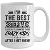 I'm The Best Stepdad Funny Father's Day From Crazy Kids Mug | teecentury