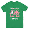 Only Child Crossed Out Big Sister 2026 Unicorn Girl Loving Youth Shirt | teecentury