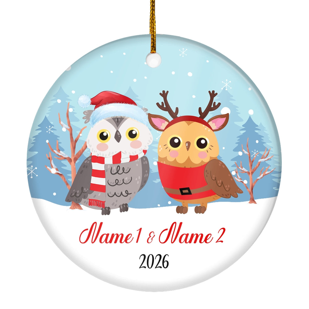 Personalized Owl Brother or Sister Christmas Ornament for Siblings Little Brother Sister with Names Customized Christmas Tree Ornament | teecentury