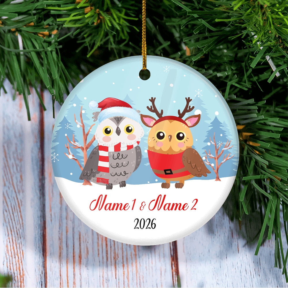Personalized Owl Brother or Sister Christmas Ornament for Siblings Little Brother Sister with Names Customized Christmas Tree Ornament | teecentury