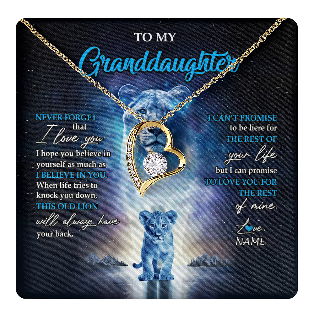 Granddaughter never forget that i love you necklace outlet
