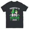 Promoted To Big Brother 2025 Dinosaur T-Rex Boys Kids Youth Shirt | teecentury