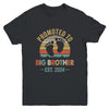 Promoted To Big Brother Est 2024 Brother Vintage Youth Shirt | teecentury