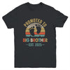 Promoted To Big Brother Est 2025 Brother Vintage Youth Shirt | teecentury