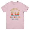 Promoted To Big Brother Est 2025 Brother Vintage Youth Shirt | teecentury