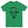 Promoted To Big Sister Est 2024 First Time New Sister Youth Shirt | teecentury