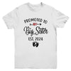 Promoted To Big Sister Est 2024 First Time New Sister Youth Shirt | teecentury