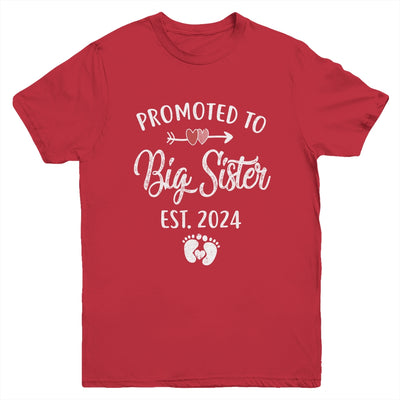 Promoted To Big Sister Est 2024 Funny First Time New Sister Youth Shirt | teecentury