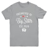 Promoted To Big Sister Est 2024 Funny First Time New Sister Youth Shirt | teecentury