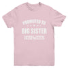 Promoted To Big Sister Est 2024 New Sister First Time New Youth Shirt | teecentury