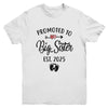 Promoted To Big Sister Est 2025 First Time New Sister Youth Shirt | teecentury