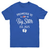 Promoted To Big Sister Est 2025 Funny First Time New Sister Youth Shirt | teecentury